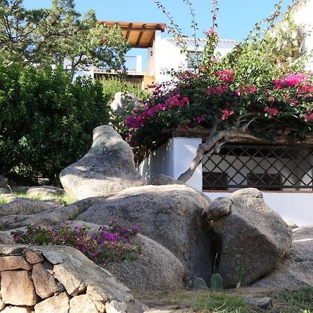 Residence Con Piscina A Liscia Di Vacca, 350 Mt Dal Mare, 3 Km Da Porto Cervo 外观 照片